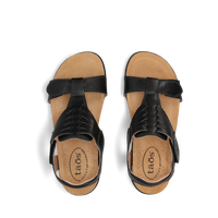 Taos Wonderful - Black 101