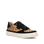 Cheetah/Black