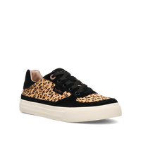 Taos Pop Soul - Cheetah/Black 102