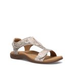 Brown Snake