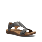 Steel