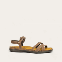 Naot Patricia - Oily Bark Nubuck 103
