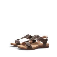 Taos Wonderful - Mocha 102
